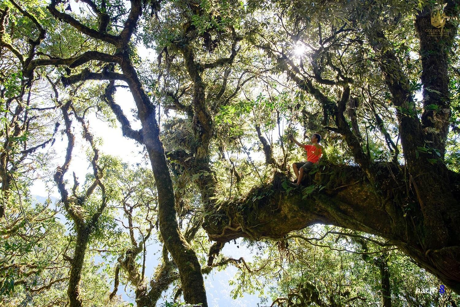 Ta Lien Son Trek: 2-Day Adventure to the "Cloud Hunting" Peak